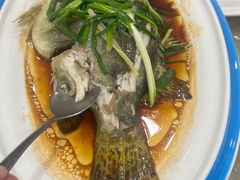 -海晖酒楼·顺德鱼生(荣华店)