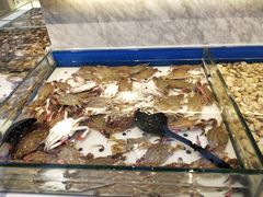 -川骄海鲜自助(河东店)