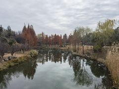 -东台西溪天仙缘景区