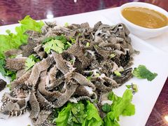-清雅轩·清真菜·春饼•烤鸭(滑翔店)