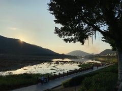 -艾米稻香小镇