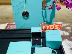 -Tiffany & Co.(银座本店)