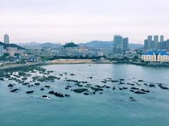 -星海湾跨海大桥