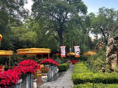 -白家大院·王府宫廷菜(苏州街店)