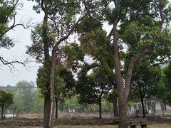 -扬州大学（文汇路校区）体育馆