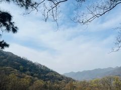 -波尔登森林公园