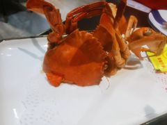 -鑫悦楼煎蟹·16年海鲜大排档