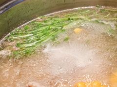 -烹然四季椰子鸡火锅(姚家园万象汇店)