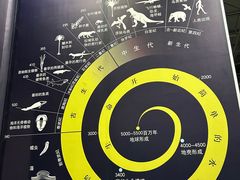-中国西峡恐龙遗迹园