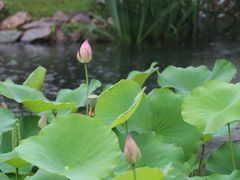 -费孝通江村纪念馆