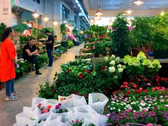 -双季花艺园艺市场(浦东店)