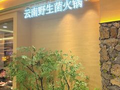 -季季山·云南野生菌火锅(上海首店)