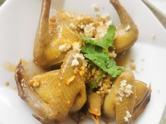 -百利鸽王(紫薇路店)