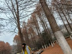 -南山风景名胜区