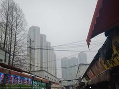 -江汉区姑嫂树菜市场