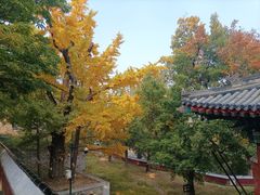 -香山公园