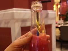 -美食小镇·观赏珍稀鸟类·长隆熊猫酒店