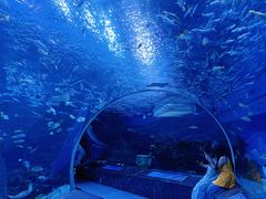 -海合安成都极地海洋公园