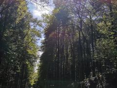 -山王坪喀斯特国家生态公园