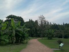-杭州植物园