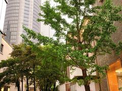 -徐家汇源景区-衡山坊