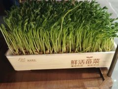 -捞神煲汤火锅(湖滨商业街店)