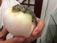 -观桥阁(锦溪店)