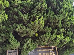 -蓬莱阁景区