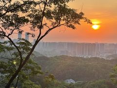 -岳麓山风景名胜区