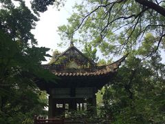 -广州市白云山风景名胜区
