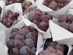 -西郊国际农产品交易中心