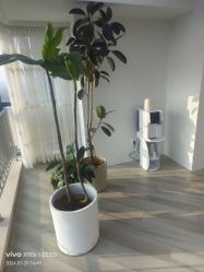 -HEYAN荷妍专业脱毛连锁机构