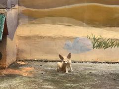 -昆明动物园