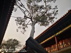 -故宫博物院(故宫)