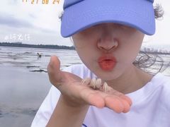 -红树林天天赶海