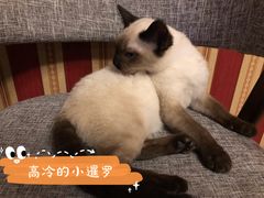 -奇门密室(五一新干线店)