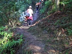 -楠溪江风景名胜区