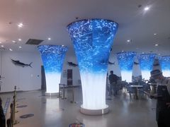 -深海中餐厅(国家海洋博物馆店)