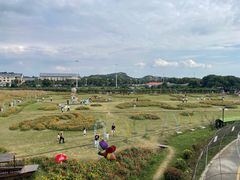 -苏州太湖西山岛开心农场