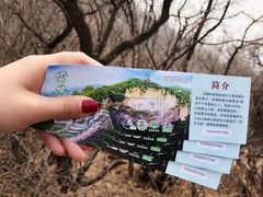 -云台山风景名胜区