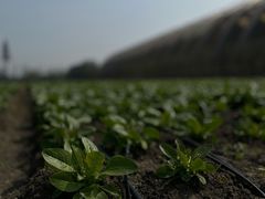 -中国天府农业博览园