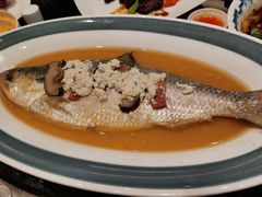 酒酿蒸鲥鱼-新南华大酒店(广中店)