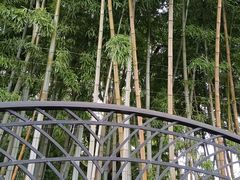 -上海市第三女子中学