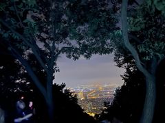 -惠山国家森林公园