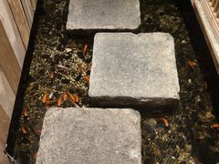 -邈墨茶馆(凤起路店)