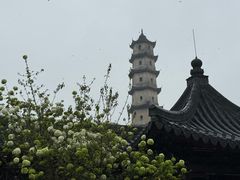 -江心屿景区