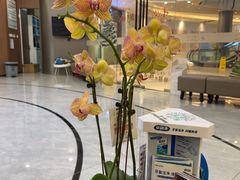 -天使口腔门诊部(上海店)