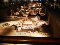 -洛阳周王城天子驾六博物馆