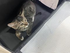 -阿荣24H宠物医院·综合型转诊中心·CT·核磁影像中心