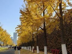 -南京眼步行桥